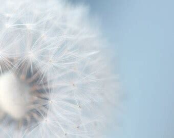 Dandelion Print Sunset Painting Red Orange Yellow Dandelion