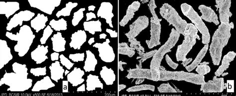 Sem Image Of A Cellulose And B Cmc At 500 Magnification 200 M Size