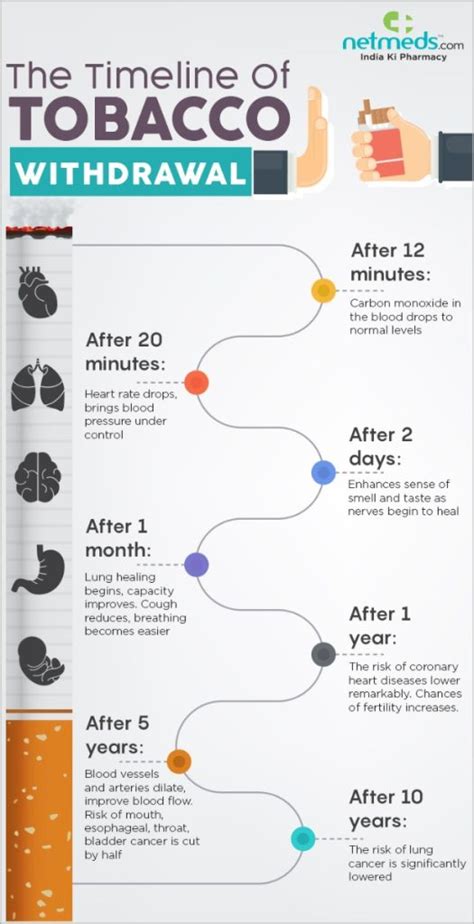 From Smoke To Success Timeline Of Quitting Smoking Benefits