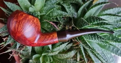 Stanwell Junio Rouge Pfeife Pipa Pipe Made In Denmark Eur