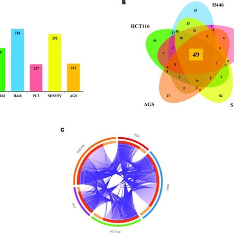 Top 10 Significant Protein Protein Interaction Networks A The Top 10