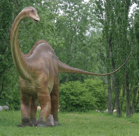 El Rincón De Wladimir Diplodocus