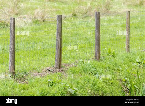 Línea de cerco de granja esgrima de ganado fuera del campo Mezcla