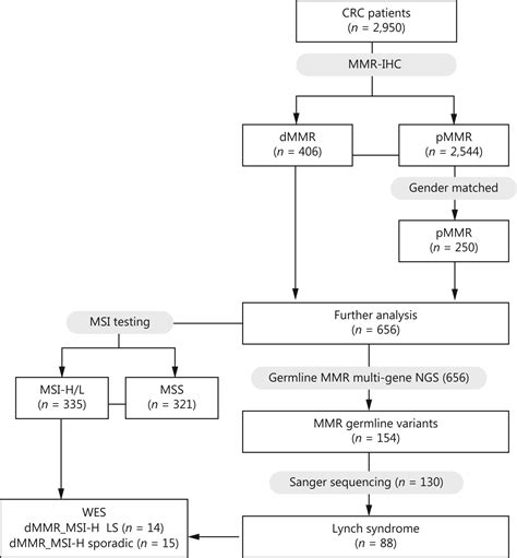 Lynch Syndrome Pre Screening And Comprehensive Characterization In A