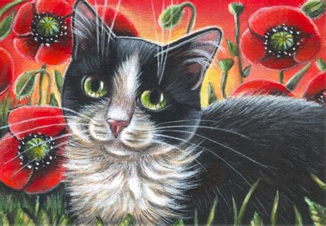 Black White Tuxedo Cat Portrait Poppies Flowers Original Art Painting