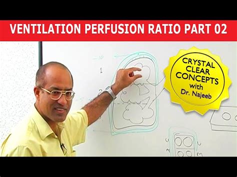 Free Video Ventilation Perfusion Ratio Part 2 From Dr Najeeb