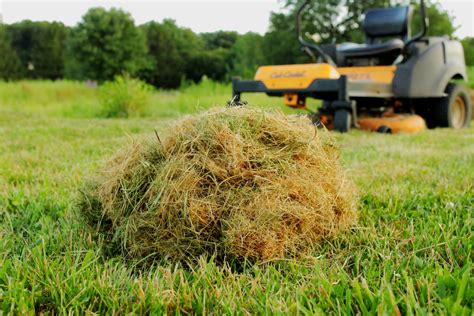 Why to Mulch Grass Clippings Back Into the Lawn