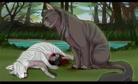 Graystripe Silverstream Warrior Cat Memes Warrior Cats Series