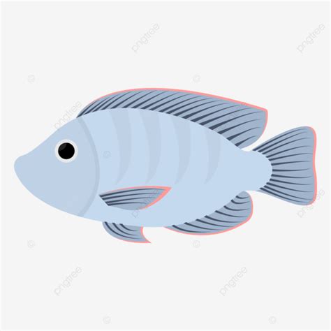 Ikan Mujair Ikan Ikan Kartun Nila Png Dan Vektor Dengan Background