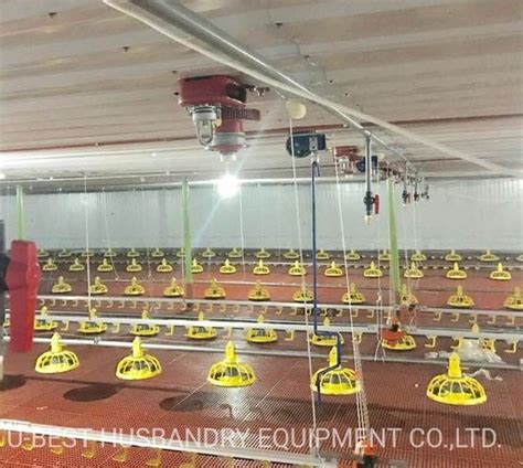 Automatic Broiler Feeding System Floor Feeding System For Broiler Chicken Farm House Ground