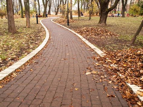 Sendero con hojas amarillas caídas en el parque en otoño Foto Premium