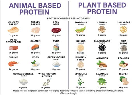 Plant Based Protein Vs Animal Based Protein Chart High Etsy Uk