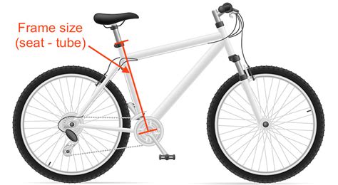 mountain bike size chart
