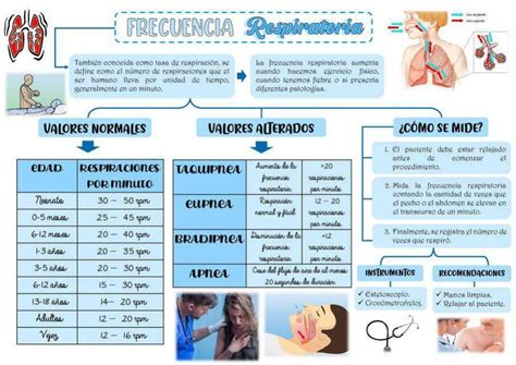 Infografías Frecuencia respiratoria medicbiologia12 uDocz