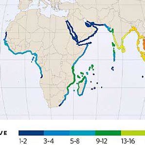 1. World map of the mangrove distribution zones and the number of ...