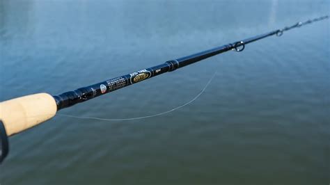 Best Travel Fishing Rods For Wired Fish