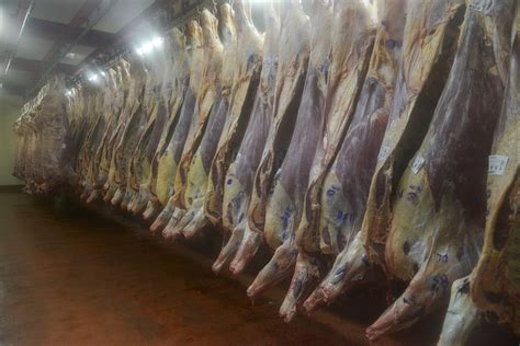 Una nueva etapa comienza en la comercialización de la carne argentina