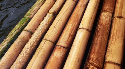 Vernacular Methods Of Treating Bamboo You Should Know Bamboo U