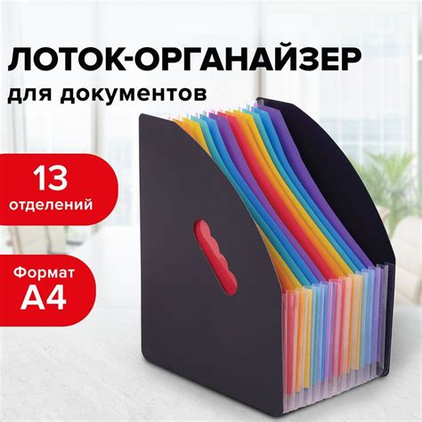 Лоток-органайзер вертикальный канцелярский для бумаг и документов, 13 ...