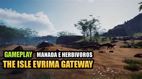 The Isle Evrima Gateway Gameplay Ao Vivo Manada De Herbivoros Youtube