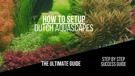 Dutch Aquascape - How To And Guide On Dutch Style Aquariums - AquariumStoreDepot