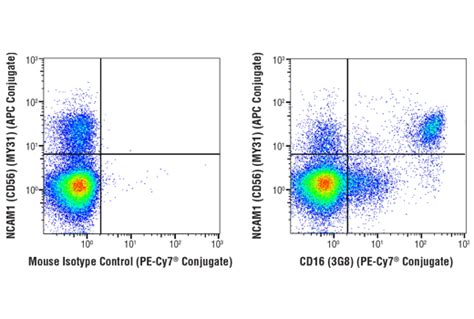 Cd G Mouse Mab Pe Cy Conjugate Cell Signaling Technology