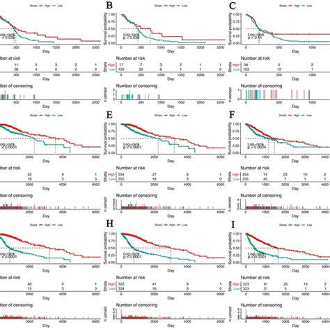 Tox Expression Predicts Better Survival In Glioma Patients