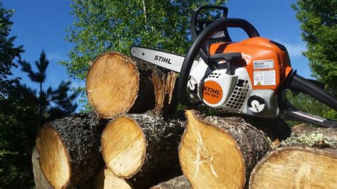 Stihl Ms 181 Best Starting Chainsaw For The Modern Homesteader Youtube