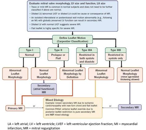 Mitral Regurgitation In 2020 The 2020 Focused Update Of The 2017