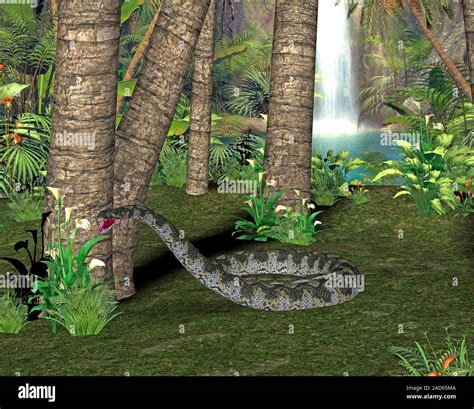 Titanoboa Prehistoric Snake Computer Illustration Of A Titanoboa