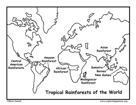 25 Rainforests Of The World Map Maps Online For You