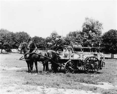 Antique Horse Drawn Fire Wagon & Driver Old 8x10 Reprint Of Photo ...