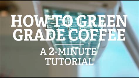 How To Green Grade Coffee A 2 Minute Tutorial Youtube