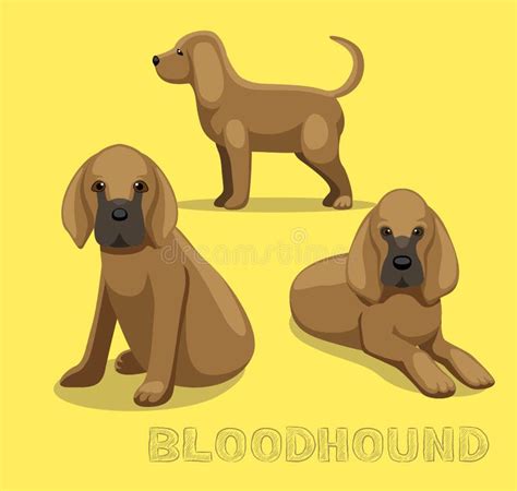 Cartoon Bloodhound Stock Illustrations – 402 Cartoon Bloodhound Stock ...