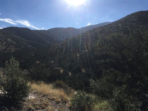 Manzano Mountains | New Mexico Meanders