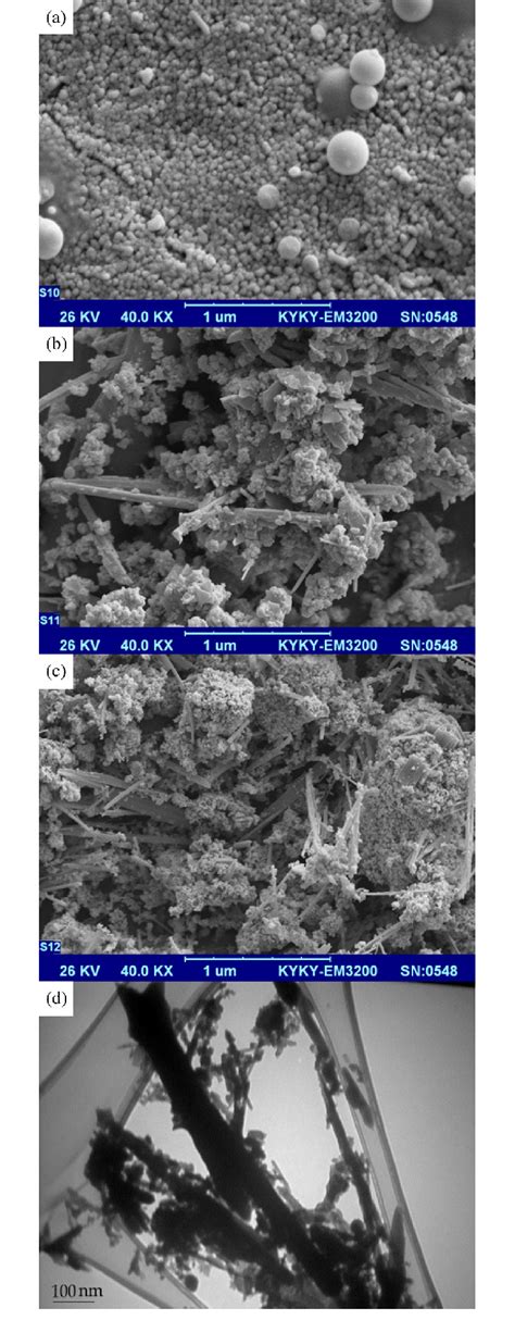 SEM Images Of Se Nanostructure A Sample A13 B Sample A14 C Sample