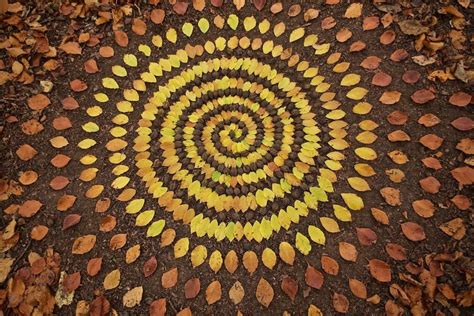 Artista Cria Belas Mandalas Materiais Da Natureza CicloVivo