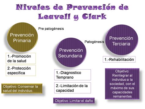 Enfermería Comunitaria Niveles de prevención