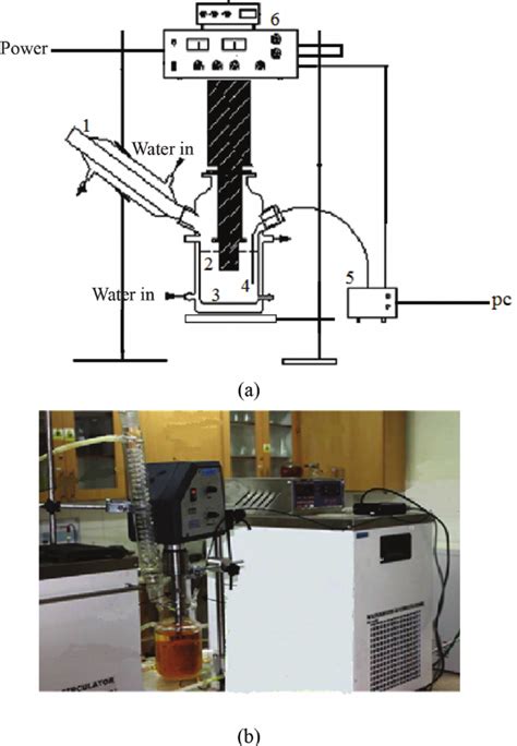 A Schematic Representation Of Experimental Setup Used For Synthesis Download Scientific