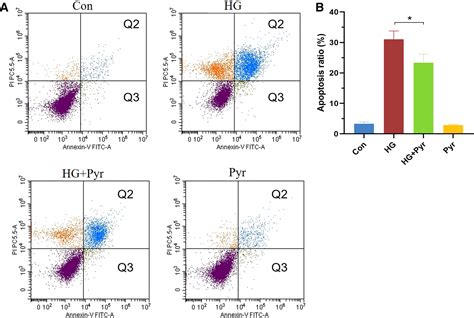 Pyruvate Alleviates High Glucoseinduced Endoplasmic Reticulum Stress