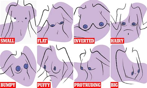 Retro Huge Areolas Nipples Sex Pictures Pass