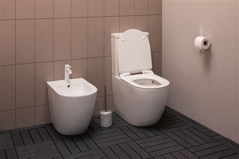 Чаша напольного унитаза Aquanet Rimless Cetus-C1 BL-102N-TPT купить в ...