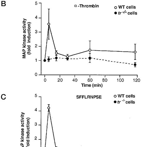 Thrombin-and thrombin receptor agonist peptide-induced DNA synthesis in ...