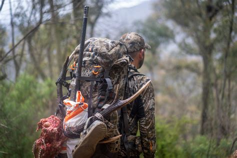 Sustainable Hunting Action Plan Shap Released Sporting Shooter