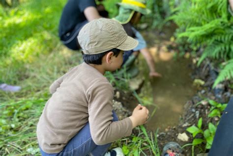 味噌作り、雑木林の開拓など｜アイガモクラブ 2023 家族プログラム サマーキャンプや自然体験プログラム｜free Camp・nots福岡校