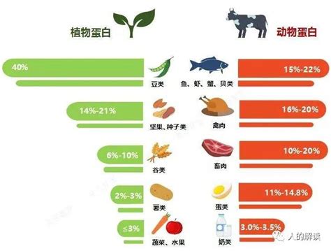 排毒的真相，疾病通常源于吃得不对 人的解读