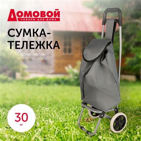 Сумка-тележка Домовой сумка_тележка, 24 л купить c доставкой на OZON по ...