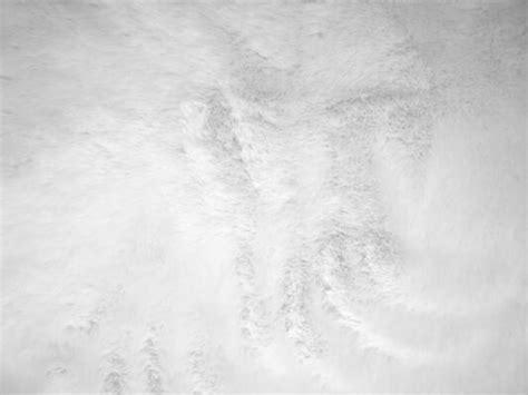 White Fur Texture Stock Photos, Images and Backgrounds for Free Download