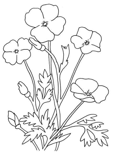 Printable Poppy Flowers For Free