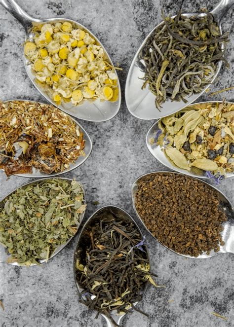 How To Choose The Best Loose Leaf Tea For You